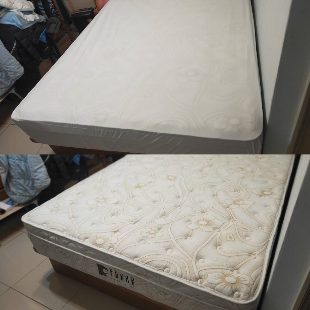 台北中正區/好眠電動床墊
