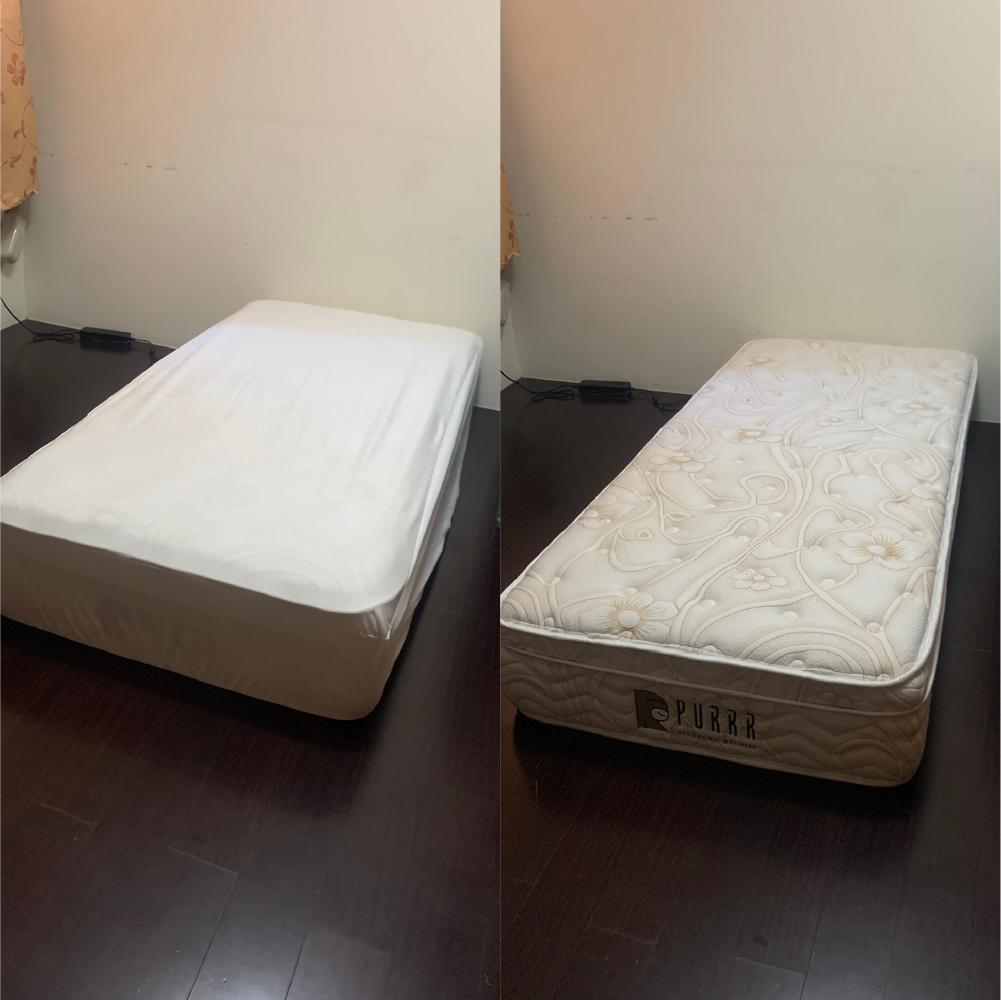 桃園大園區/好眠電動床墊